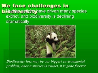 We face challenges inWe face challenges in
biodiversitybiodiversity• Human actions have driven many speciesHuman actions have driven many species
extinct, and biodiversity is decliningextinct, and biodiversity is declining
dramaticallydramatically
Biodiversity loss may be our biggest environmental
problem; once a species is extinct, it is gone forever
 