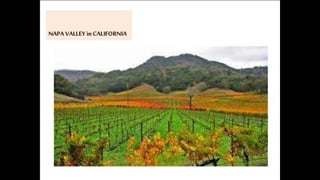 Environmental science