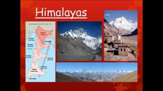 Environmental science