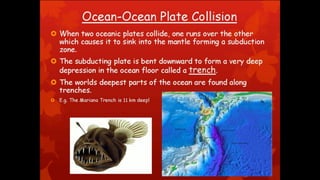 Environmental science