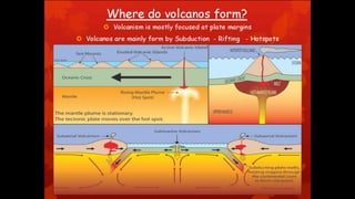 Environmental science