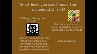 Environmental science