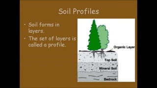 Environmental science