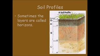 Environmental science