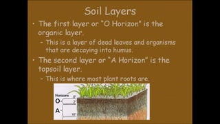 Environmental science