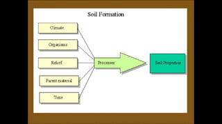 Environmental science