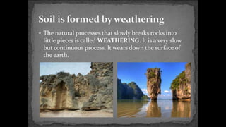 Environmental science