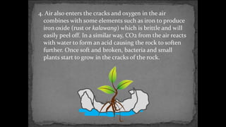 Environmental science