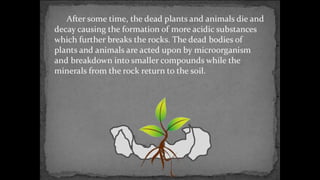 Environmental science