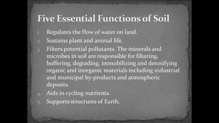 Environmental science