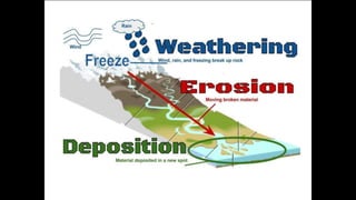 Environmental science