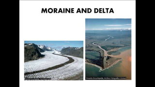 Environmental science