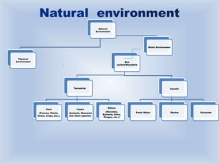 ENVIRONMENTAL SCIENCE FOR B.Ed. FIRST YEAR | PPTX