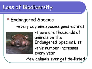 Loss of Biodiversity

 Endangered   Species
     -every day one species goes extinct
             -there are thousands of
             animals on the
             Endangered Species List
             -this number increases
             every year
         -few animals ever get de-listed
 
