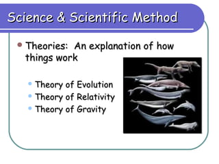 Science & Scientific Method

  Theories:An explanation of how
  things work

    Theory of Evolution
    Theory of Relativity

    Theory of Gravity
 