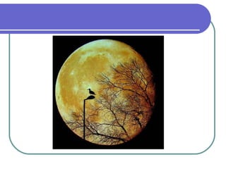 Environmental science intro & chapter 1