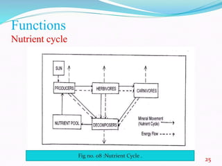 environmental science as multidisciplinary field.pptx