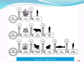 environmental science as multidisciplinary field.pptx