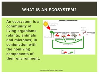 Environmental Science Merit Badge Boy Scouts by Joel Hebdon, Varsity ...