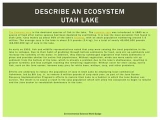 Environmental Science Merit Badge Boy Scouts by Joel Hebdon, Varsity ...