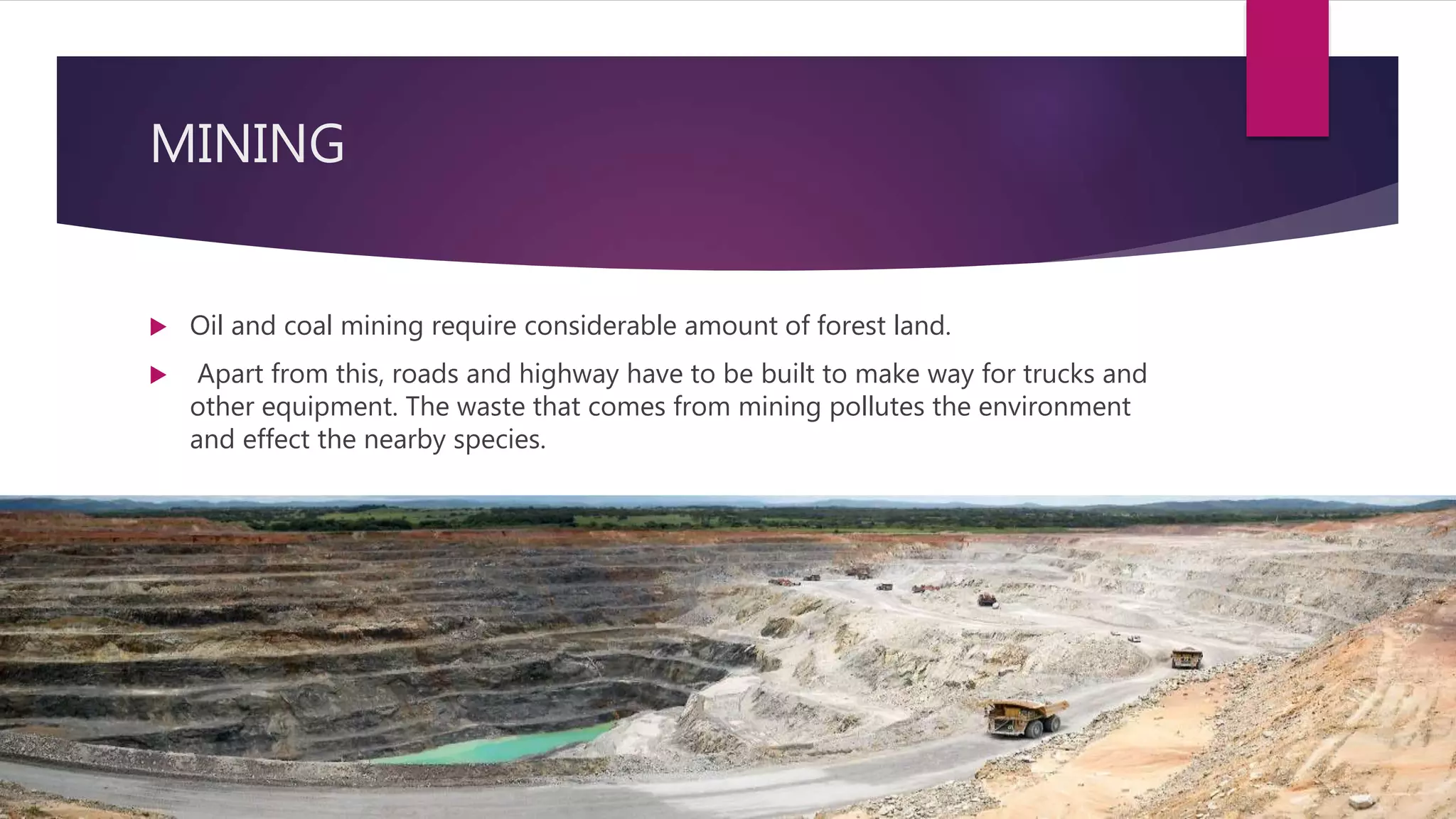 MINING
 Oil and coal mining require considerable amount of forest land.
 Apart from this, roads and highway have to be built to make way for trucks and
other equipment. The waste that comes from mining pollutes the environment
and effect the nearby species.
 
