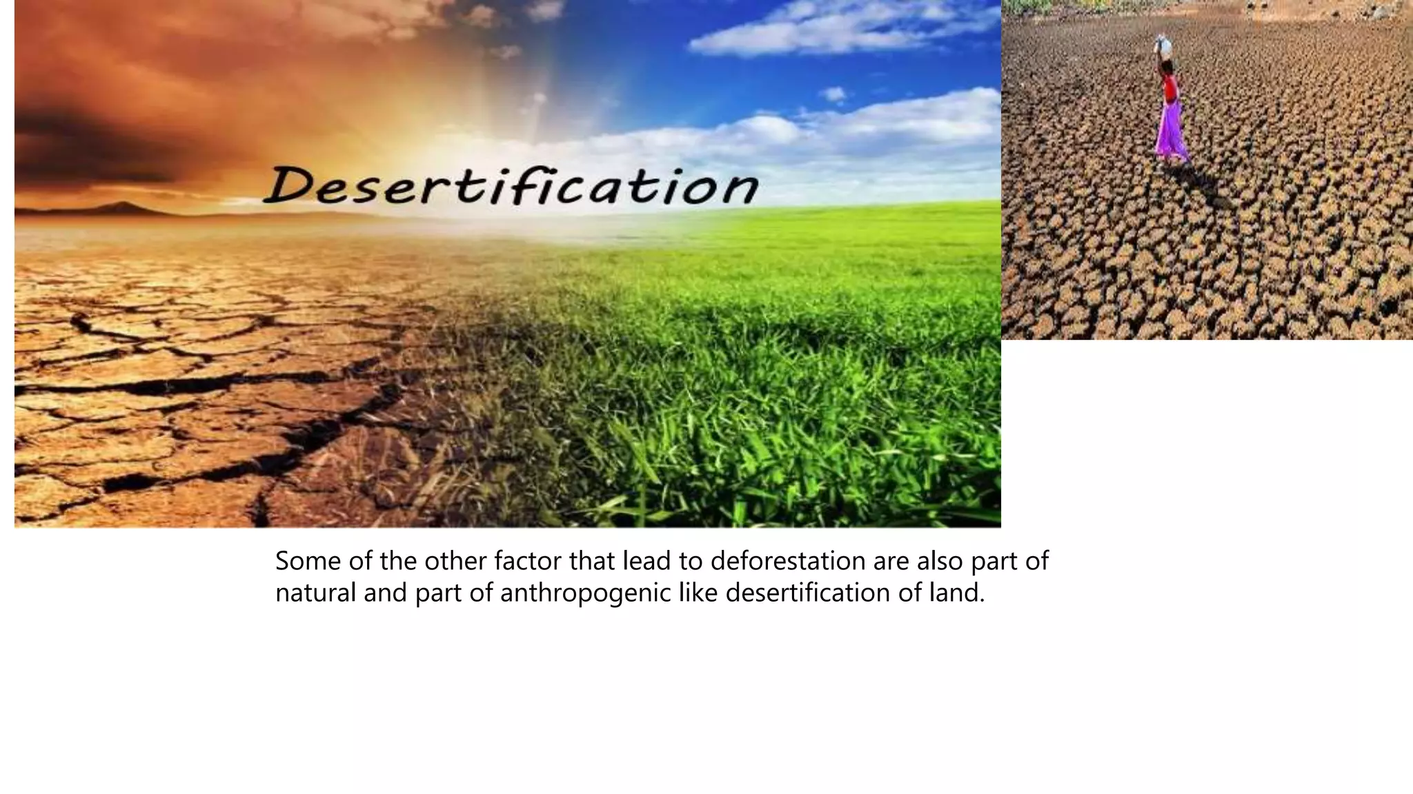 Some of the other factor that lead to deforestation are also part of
natural and part of anthropogenic like desertification of land.
 