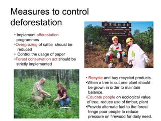Measures to control
deforestation
• Implement afforestation
  programmes
•Overgrazing of cattle should be
   reduced
• Control the usage of paper
•Forest conservation act should be
  strictly implemented


                                     • Recycle and buy recycled products.
                                     •When a tree is cut,one plant should
                                       be grown in order to maintain
                                       balance.
                                     •Educate people on ecological value
                                      of tree, reduce use of timber, plant
                                     •Provide alternate fuel to the forest
                                       fringe poor people to reduce
                                       pressure on firewood for daily need.
 