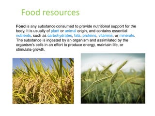 Food resources
Food is any substance consumed to provide nutritional support for the
body. It is usually of plant or animal origin, and contains essential
nutrients, such as carbohydrates, fats, proteins, vitamins, or minerals.
The substance is ingested by an organism and assimilated by the
organism's cells in an effort to produce energy, maintain life, or
stimulate growth.
 