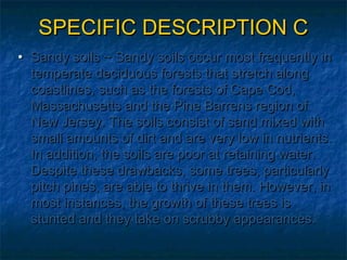 SPECIFIC DESCRIPTION C
• Sandy soils ~ Sandy soils occur most frequently in
temperate deciduous forests that stretch along
coastlines, such as the forests of Cape Cod,
Massachusetts and the Pine Barrens region of
New Jersey. The soils consist of sand mixed with
small amounts of dirt and are very low in nutrients.
In addition, the soils are poor at retaining water.
Despite these drawbacks, some trees, particularly
pitch pines, are able to thrive in them. However, in
most instances, the growth of these trees is
stunted and they take on scrubby appearances.

 