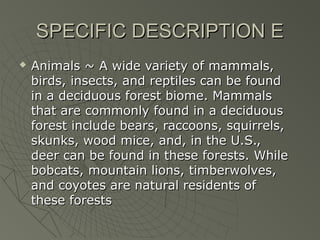 SPECIFIC DESCRIPTION E


Animals ~ A wide variety of mammals,
birds, insects, and reptiles can be found
in a deciduous forest biome. Mammals
that are commonly found in a deciduous
forest include bears, raccoons, squirrels,
skunks, wood mice, and, in the U.S.,
deer can be found in these forests. While
bobcats, mountain lions, timberwolves,
and coyotes are natural residents of
these forests

 