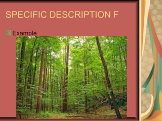 SPECIFIC DESCRIPTION F
Example

 