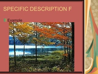 SPECIFIC DESCRIPTION F
Example

 