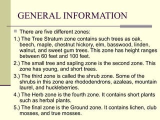 GENERAL INFORMATION
 There are five different zones:

1.) The Tree Stratum zone contains such trees as oak,
beech, maple, chestnut hickory, elm, basswood, linden,
walnut, and sweet gum trees. This zone has height ranges
between 60 feet and 100 feet.
2.) The small tree and sapling zone is the second zone. This
zone has young, and short trees.
3.) The third zone is called the shrub zone. Some of the
shrubs in this zone are rhododendrons, azaleas, mountain
laurel, and huckleberries.
4.) The Herb zone is the fourth zone. It contains short plants
such as herbal plants.
5.) The final zone is the Ground zone. It contains lichen, club
mosses, and true mosses.

 