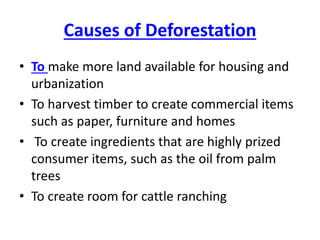 Causes of Deforestation
• To make more land available for housing and
urbanization
• To harvest timber to create commercial items
such as paper, furniture and homes
• To create ingredients that are highly prized
consumer items, such as the oil from palm
trees
• To create room for cattle ranching
 