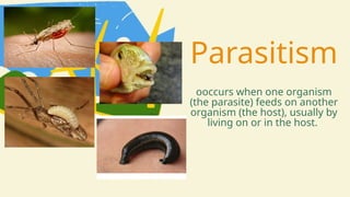 Parasitism
ooccurs when one organism
(the parasite) feeds on another
organism (the host), usually by
living on or in the host.
 