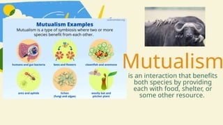 Mutualism
is an interaction that benefits
both species by providing
each with food, shelter, or
some other resource.
 