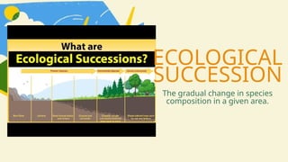 ECOLOGICAL
SUCCESSION
The gradual change in species
composition in a given area.
 