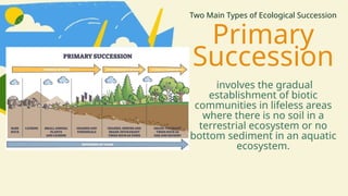 Primary
Succession
involves the gradual
establishment of biotic
communities in lifeless areas
where there is no soil in a
terrestrial ecosystem or no
bottom sediment in an aquatic
ecosystem.
Two Main Types of Ecological Succession
 