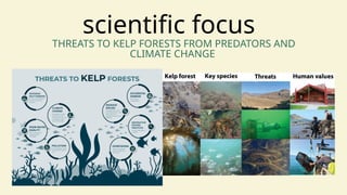 scientific focus
THREATS TO KELP FORESTS FROM PREDATORS AND
CLIMATE CHANGE
 