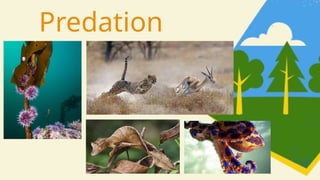 Predation
 