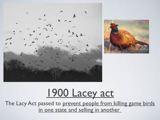 1900 Lacey act
The Lacy Act passed to prevent people from killing game birds
in one state and selling in another
 