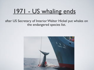 1971 - US whaling ends
after US Secretary of Interior Walter Hickel put whales on
the endangered species list.
 