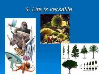 4. Life is versatile   
