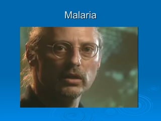 Malaria 