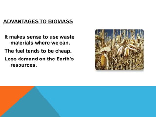 ADVANTAGES TO BIOMASS
It makes sense to use waste
materials where we can.
The fuel tends to be cheap.
Less demand on the Earth's
resources.
 