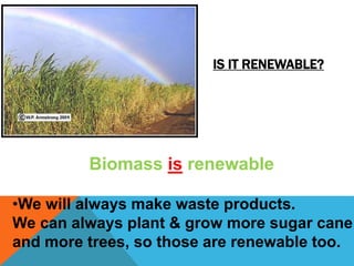 IS IT RENEWABLE?
Biomass is renewable
•We will always make waste products.
We can always plant & grow more sugar cane
and more trees, so those are renewable too.
 