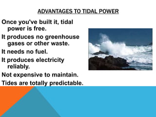 ADVANTAGES TO TIDAL POWER
Once you've built it, tidal
power is free.
It produces no greenhouse
gases or other waste.
It needs no fuel.
It produces electricity
reliably.
Not expensive to maintain.
Tides are totally predictable.
 