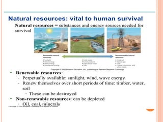 Environmental studies