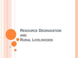 Environmental studies