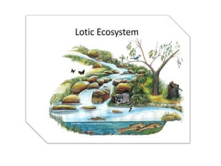 Environmental studies-AQUATIC ECOSYSTEM,THEIR TYPES AND THEIR IMPORTANCE.